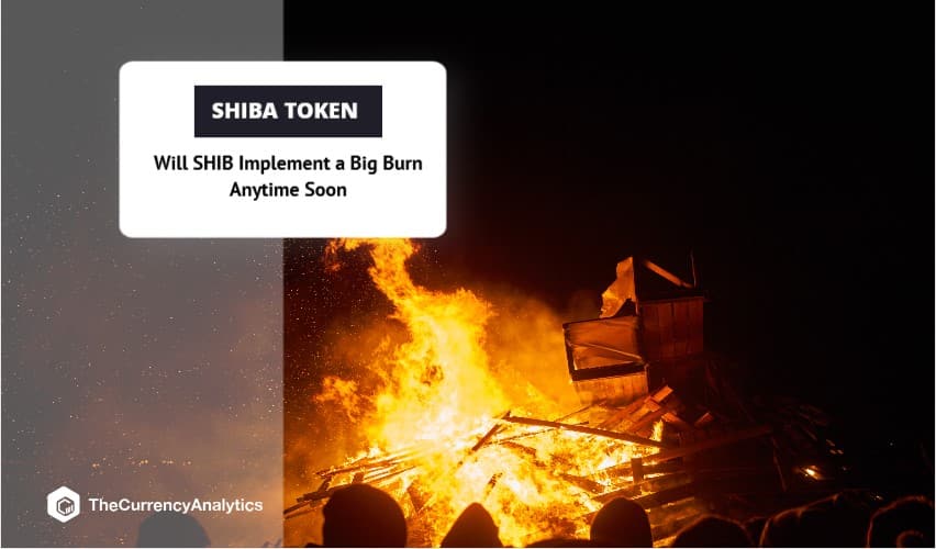 Will SHIB Implement a Big Burn Anytime Soon