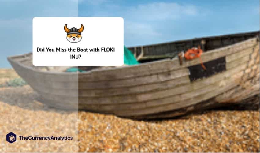 Did You Miss the Boat with FLOKI INU