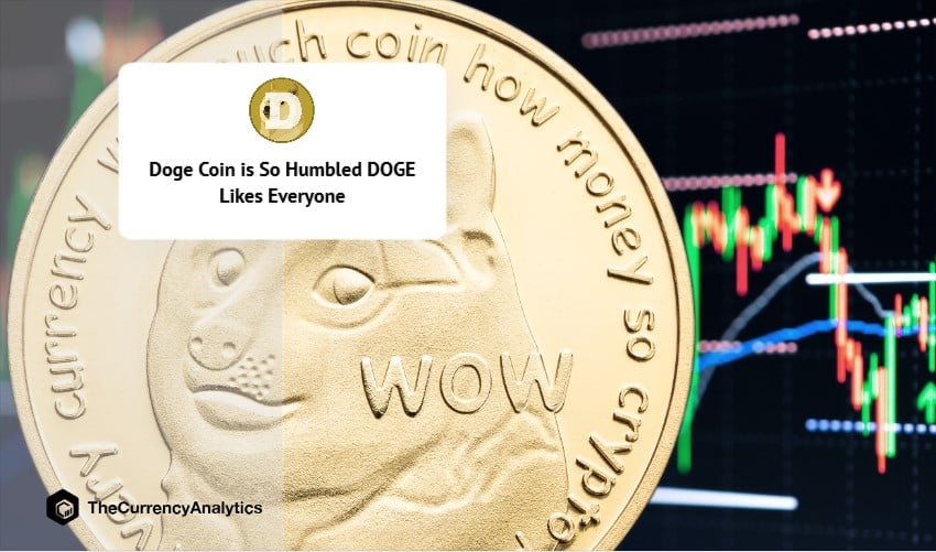 Doge Coin is So Humbled DOGE Likes Everyone
