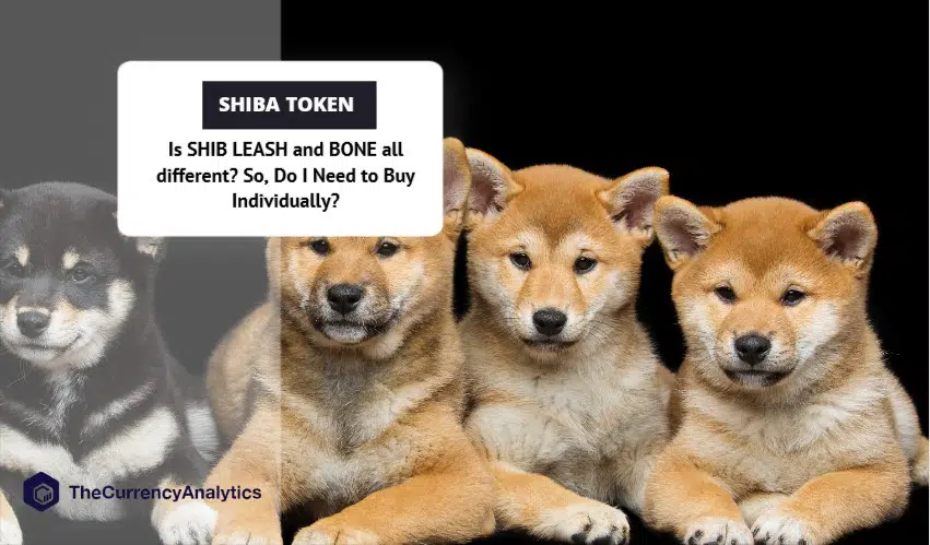 Is SHIB LEASH and BONE all different So, Do I Need to Buy Individually