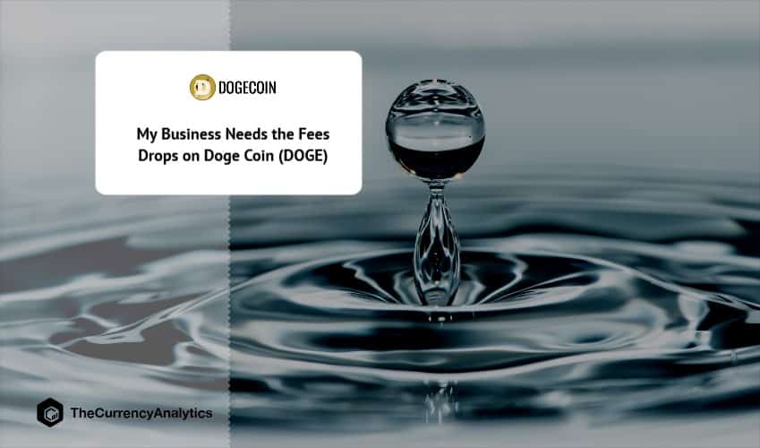 My Business Needs the Fees Drops on Doge Coin (DOGE)
