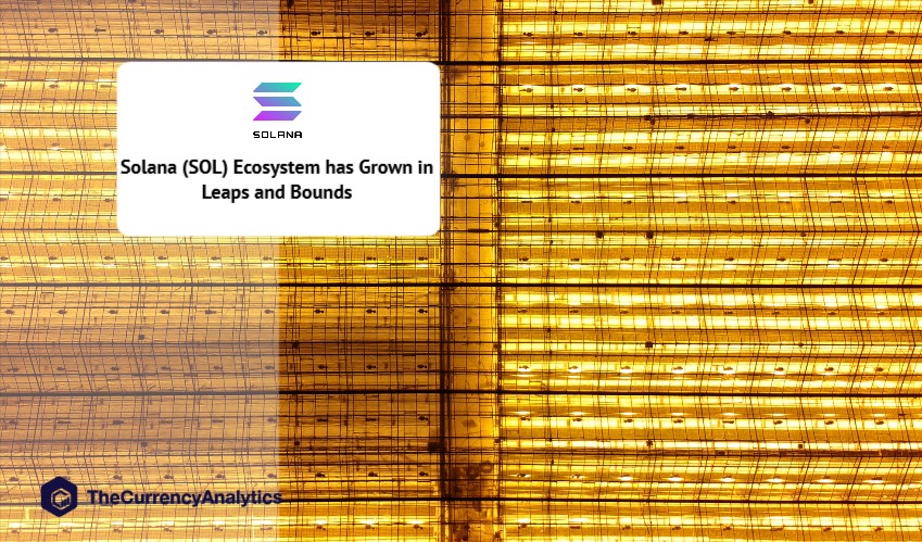 Solana (SOL) Ecosystem has Grown in Leaps and Bounds