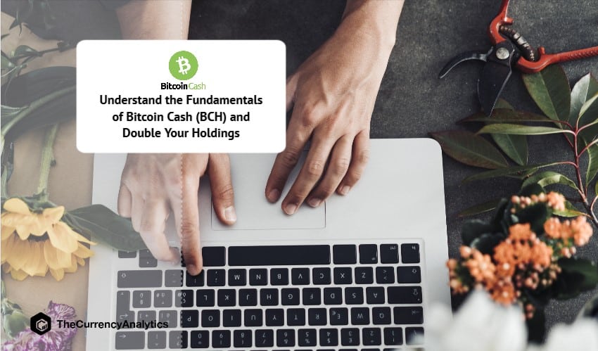 Understand the Fundamentals of Bitcoin Cash (BCH) and Double Your Holdings