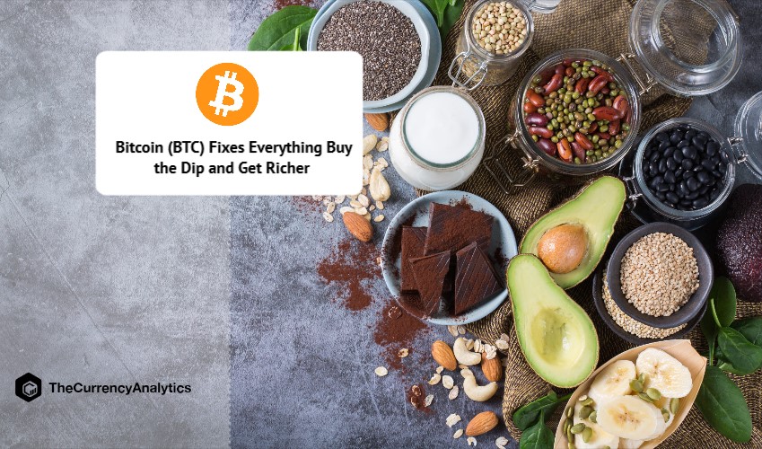 Bitcoin (BTC) Fixes Everything Buy the Dip and Get Richer