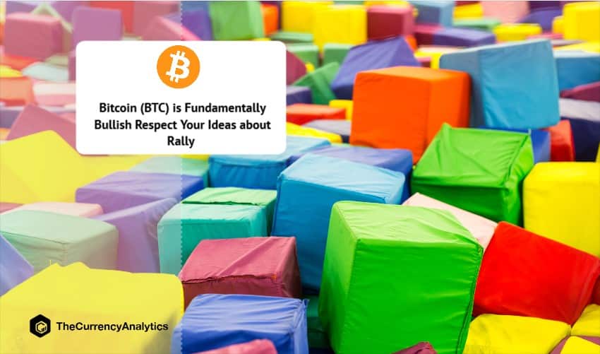 Bitcoin (BTC) is Fundamentally Bullish Respect Your Ideas about Rally