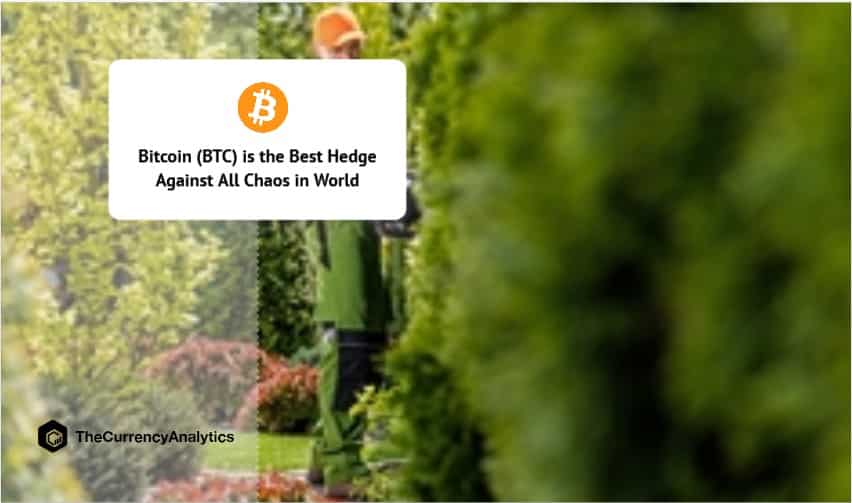 Bitcoin is the Best Hedge Against All of The Chaos