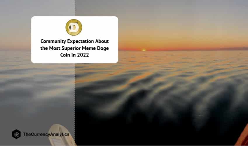 Community Expectation About the Most Superior Meme Doge Coin in 2022