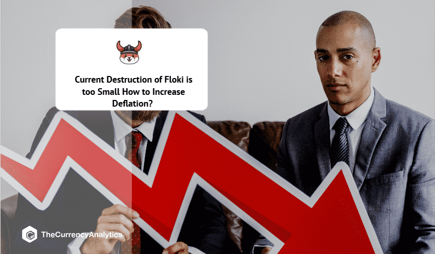 Current Destruction of Floki is too Small How to Increase Deflation