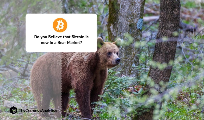 Do you Believe that Bitcoin is now in a Bear Market