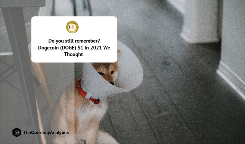 Do you still remember Dogecoin (DOGE) $1 in 2021 We Thought