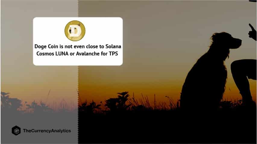 Doge Coin is not even close to Solana Cosmos LUNA or Avalanche for TPS