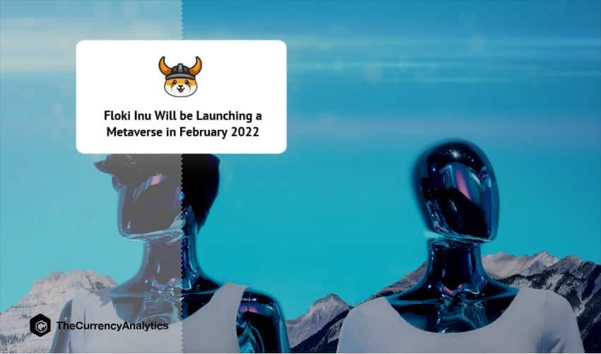 Floki Inu Will be Launching a Metaverse in February 2022