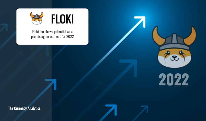 Floki inu 2022