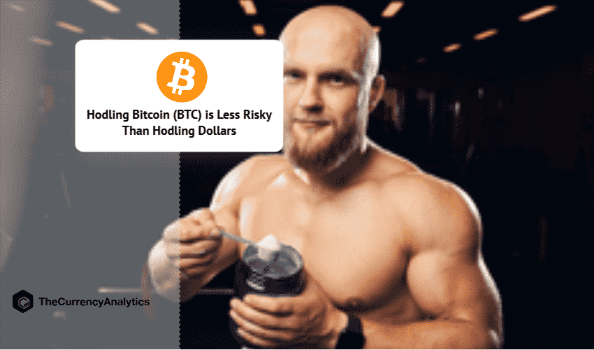 Hodling Bitcoin (BTC) is Less Risky Than Hodling Dollars