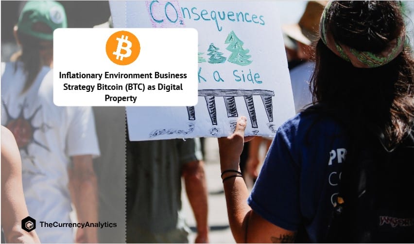 Inflationary Environment Business Strategy Bitcoin (BTC) as Digital Property