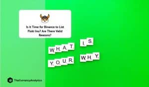 Is it Time for Binance to List Floki Inu - Are There Valid Reasons