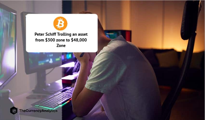 Peter Schiff Trolling an asset from $300 zone to $48,000 Zone
