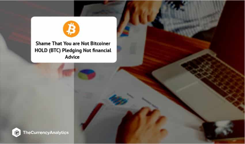 Shame That You are Not Bitcoiner HOLD (BTC) Pledging Not financial Advice