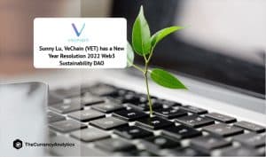 Sunny Lu, VeChain (VET) has a New Year Resolution 2022 Web3, Sustainability, DAO