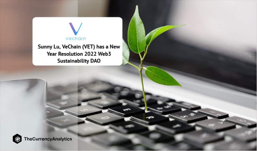 Sunny Lu, VeChain (VET) has a New Year Resolution 2022 Web3, Sustainability, DAO