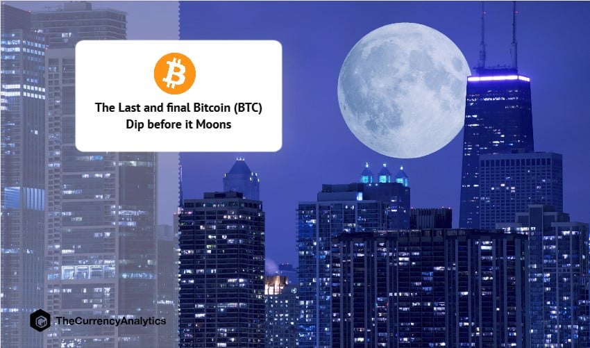 The Last and final Bitcoin (BTC) Dip before it Moons