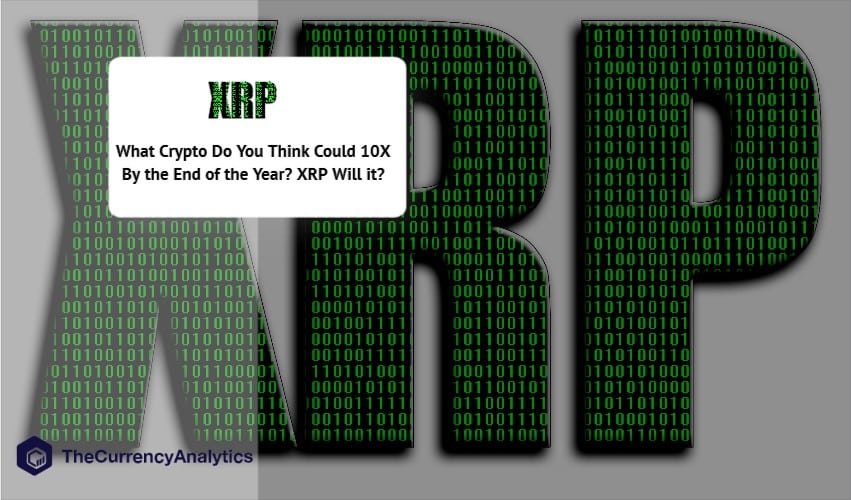What Crypto Do You Think Could 10X By the End of the Year XRP Will it