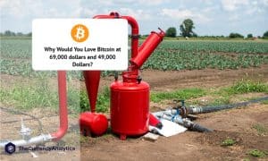 Why Would You Love Bitcoin at 69,000 dollars and 49,000 Dollars