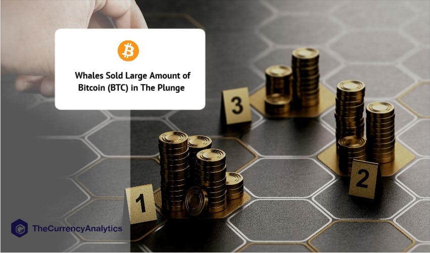 You're Losing 20% of Your Money Every Year - Buy Bitcoin