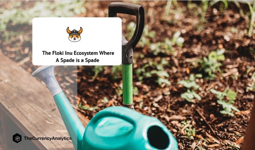 A Spade is a Spade About the Floki Inu Ecosystem