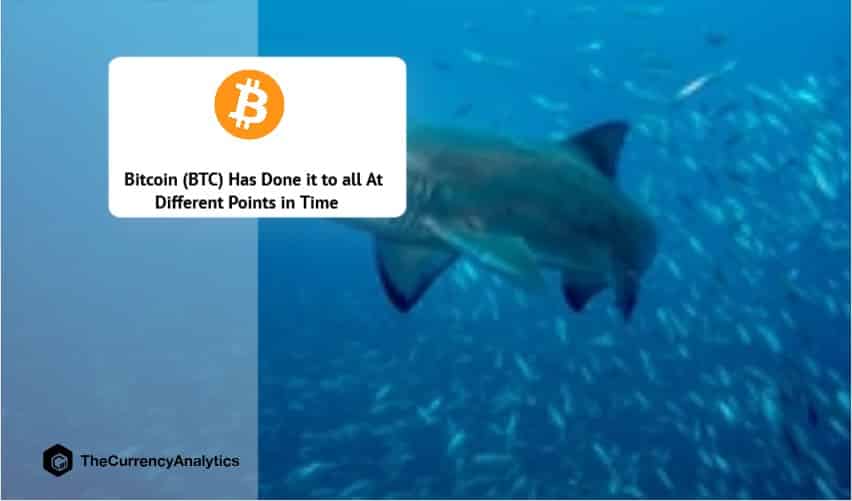 Bitcoin (BTC) Has Done it to all At Different Points in Time