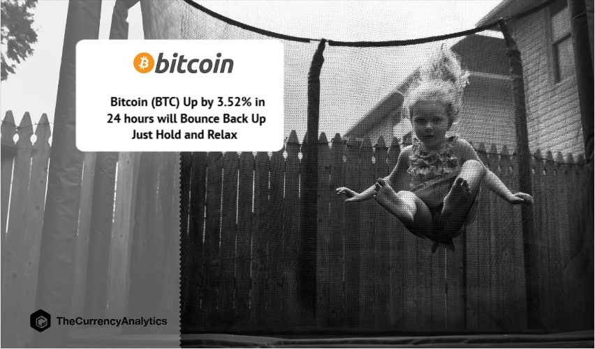 Bitcoin (BTC) Up by 3.52% in 24 hours will Bounce Back Up Just Hold and Relax