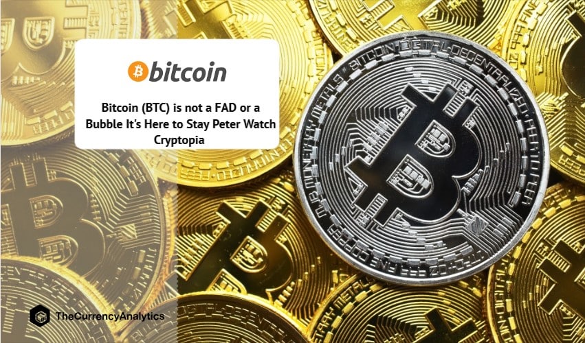 Bitcoin (BTC) is not a FAD or a Bubble It's Here to Stay Peter Watch Cryptopia