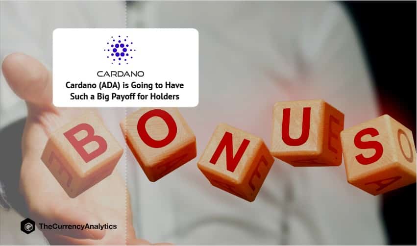 Cardano (ADA) is Going to Have Such a Big Payoff for Holders