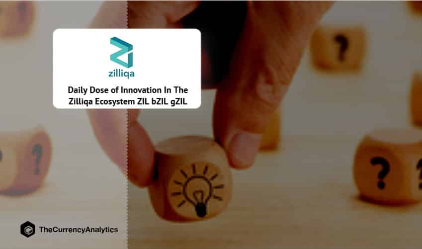 Daily Dose of Innovation In The Zilliqa Ecosystem ZIL bZIL gZIL