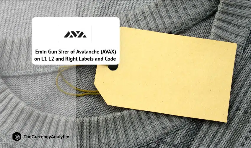 Emin Gun Sirer of Avalanche (AVAX) on L1 L2 and Right Labels and Code