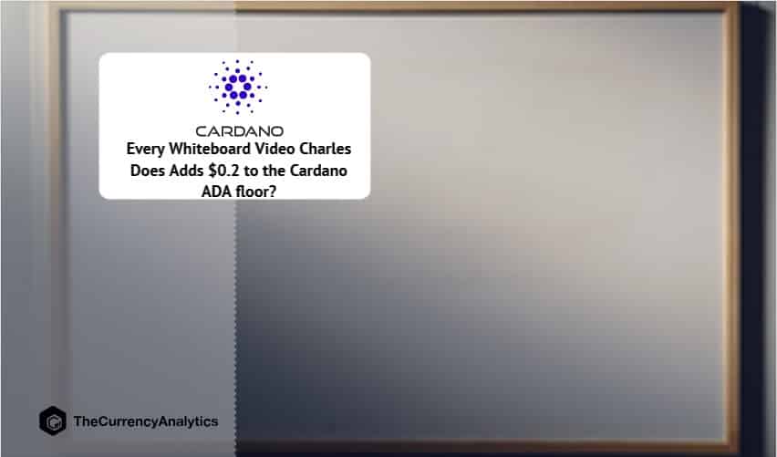 Every Whiteboard Video Charles Does Adds $0.2 to the Cardano ADA Floor