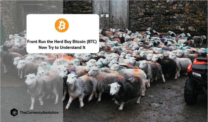 Front Run the Herd Buy Bitcoin (BTC) Now Try to Understand It