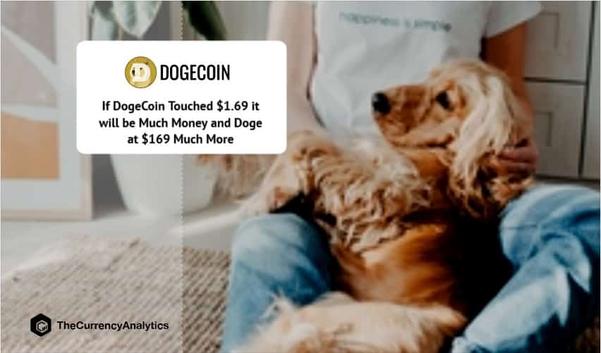 If DogeCoin Touched $1.69 it will be Much Money and Doge at $169 Much More