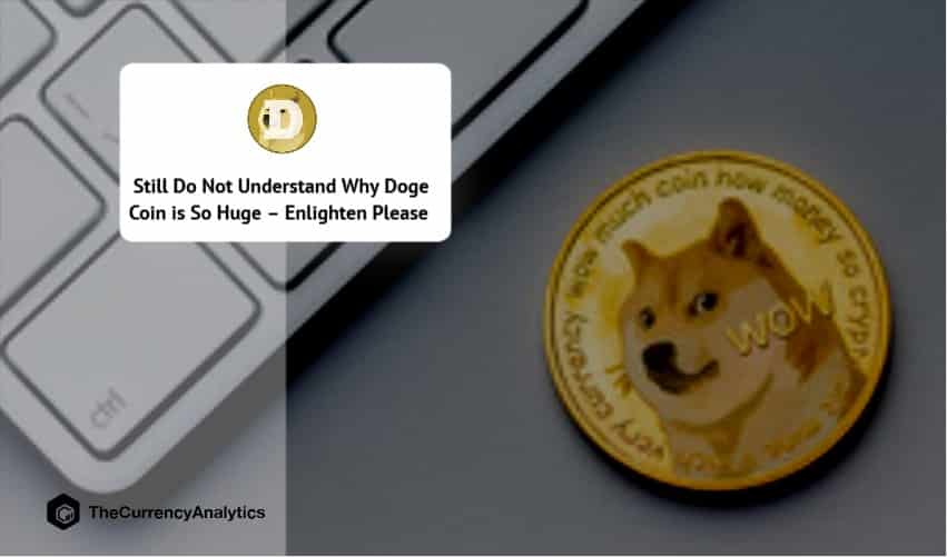 Still Do Not Understand Why Doge Coin is So Huge – Enlighten Please