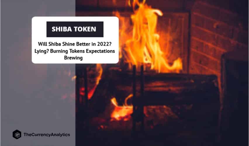 Will Shiba Shine Better in 2022 Lying Burning Tokens Expectations Brewing