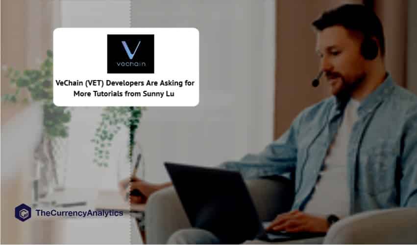 VeChain (VET) Developers Are Asking for More Tutorials from Sunny Lu