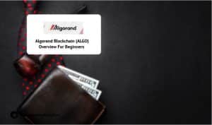 Algorand Blockchain (ALGO) Overview For Beginners