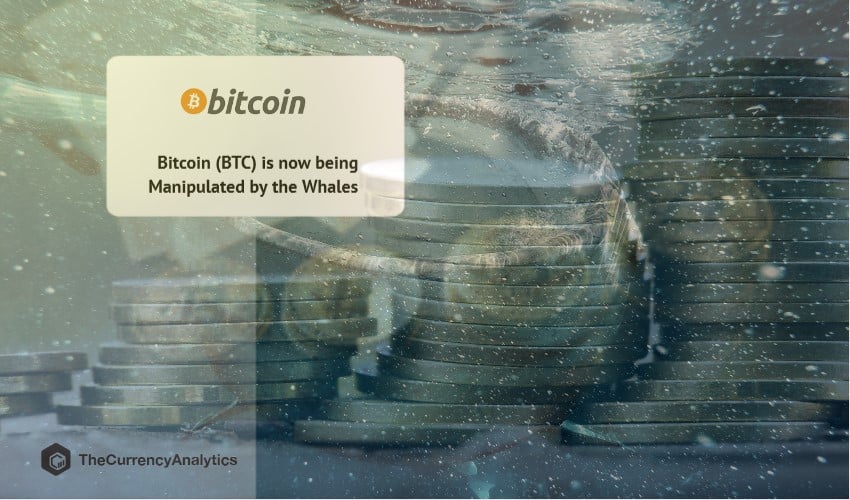 Bitcoin (BTC) is now being Manipulated by the Whales