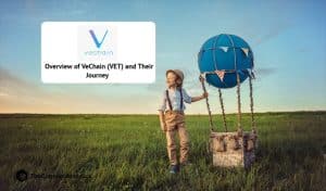 Overview of Vechain (VET) and Their Journey