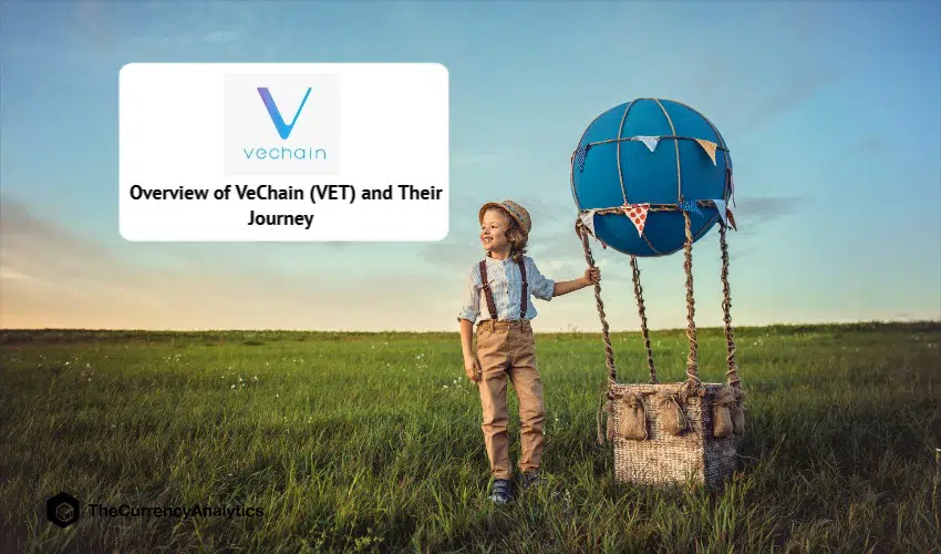 Overview of Vechain (VET) and Their Journey