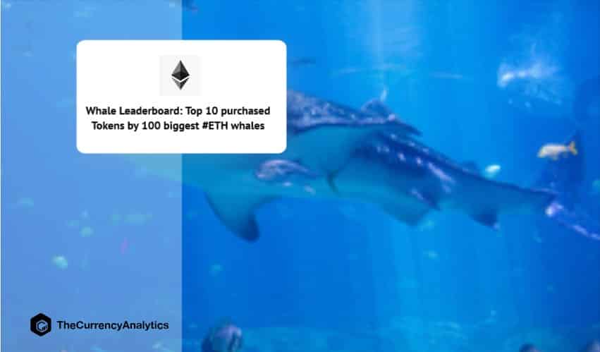 Whale Leaderboard Top 10 purchased Tokens by 100 biggest ETH Whales
