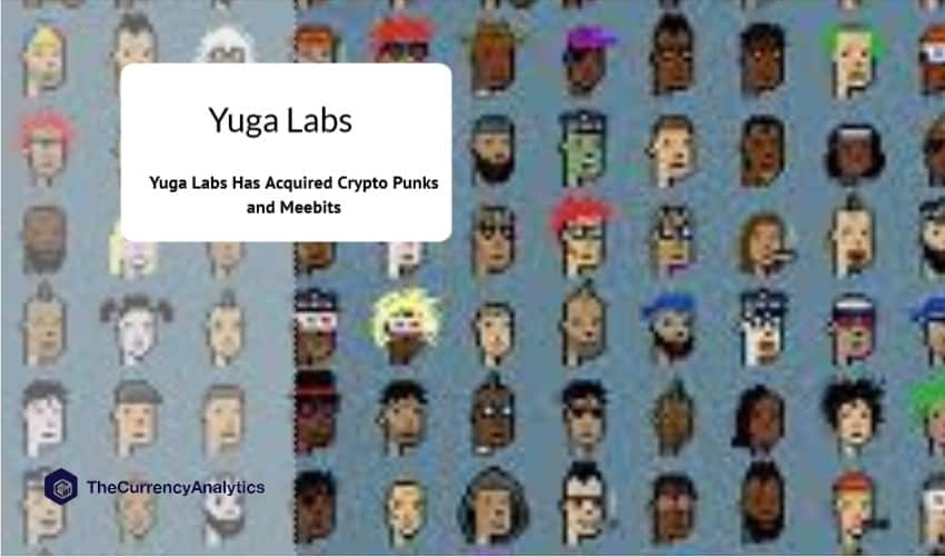 Yuga Labs Release IP Rights Agreement for CryptoPunks & Meebits
