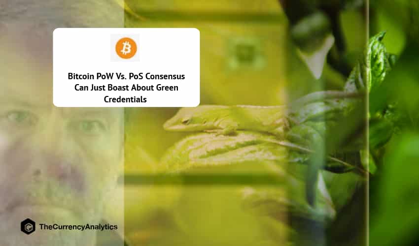 Bitcoin PoW Vs. PoS Consensus Can Just Boast About Green Credentials