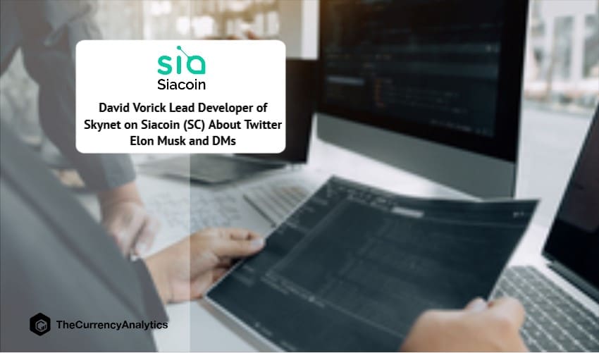 David Vorick Lead Developer of Skynet on Siacoin (SC) About Twitter Elon Musk and DMs