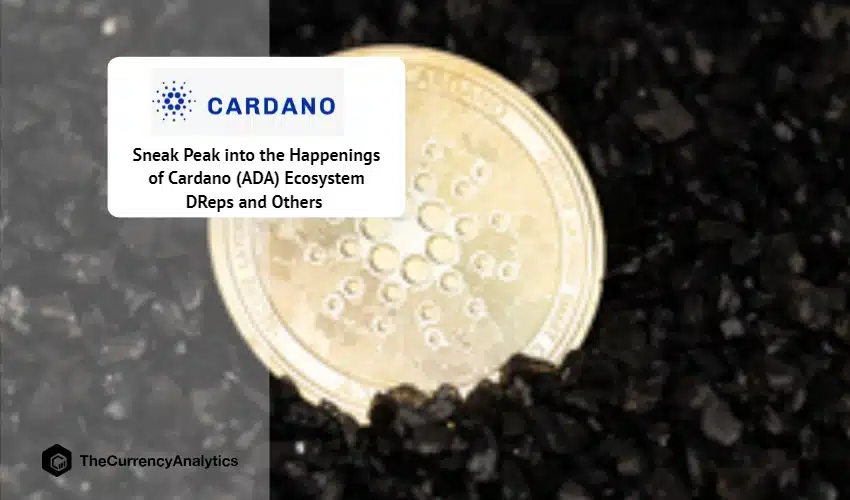 Sneak Peak into the Happenings of Cardano (ADA) Ecosystem DReps and Others